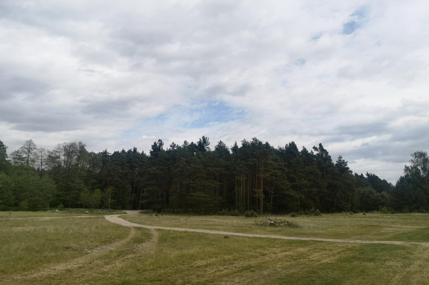 lubaczowski, Narol, Płazów, Działka budowlana 4281m2, Płazów - Roztocze