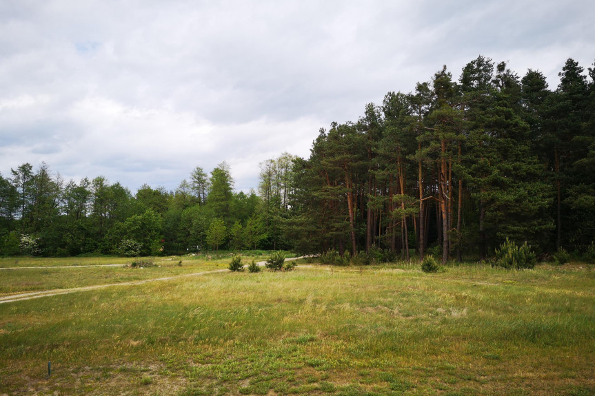 lubaczowski, Narol, Płazów, Działka budowlana 4281m2, Płazów - Roztocze