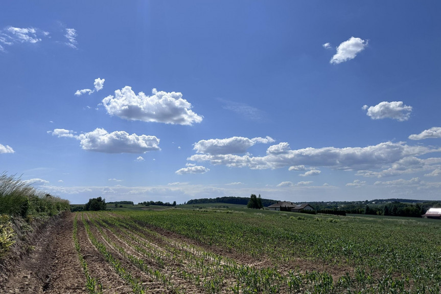 krakowski, Kocmyrzów-Luborzyca, Goszyce, Działka zagrodowa 3000m2 Goszyce