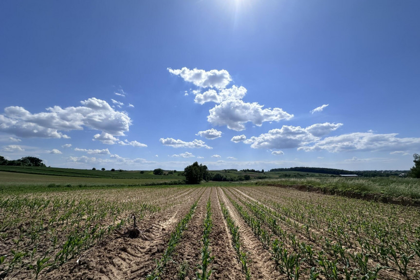 krakowski, Kocmyrzów-Luborzyca, Goszyce, Działka zagrodowa 3000m2 Goszyce