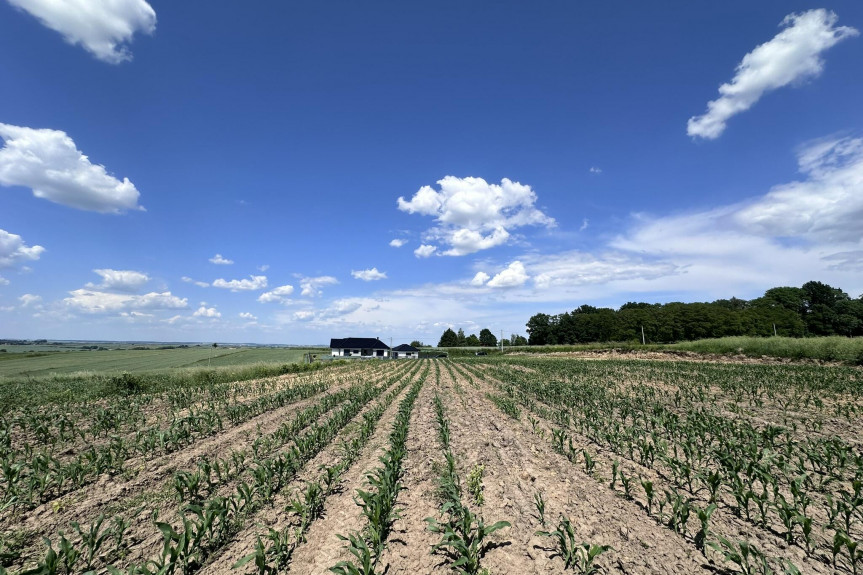 krakowski, Kocmyrzów-Luborzyca, Goszyce, Działka zagrodowa 3000m2 Goszyce