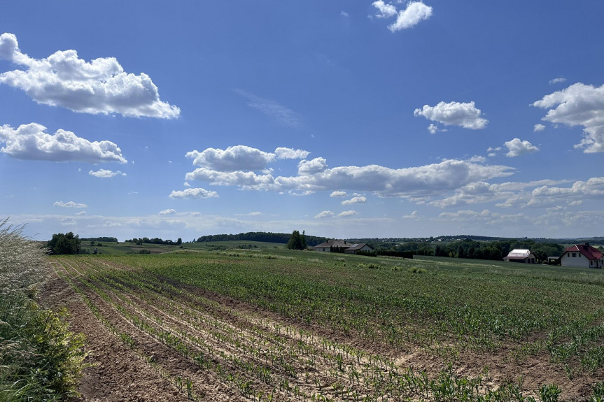 krakowski, Kocmyrzów-Luborzyca, Goszyce, Działka zagrodowa 3000m2 Goszyce