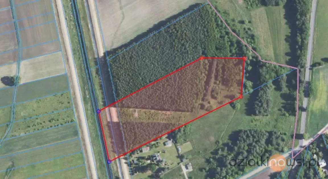 Działka leśna o pow. 23,5 ha | Wojków, powiat mielecki |