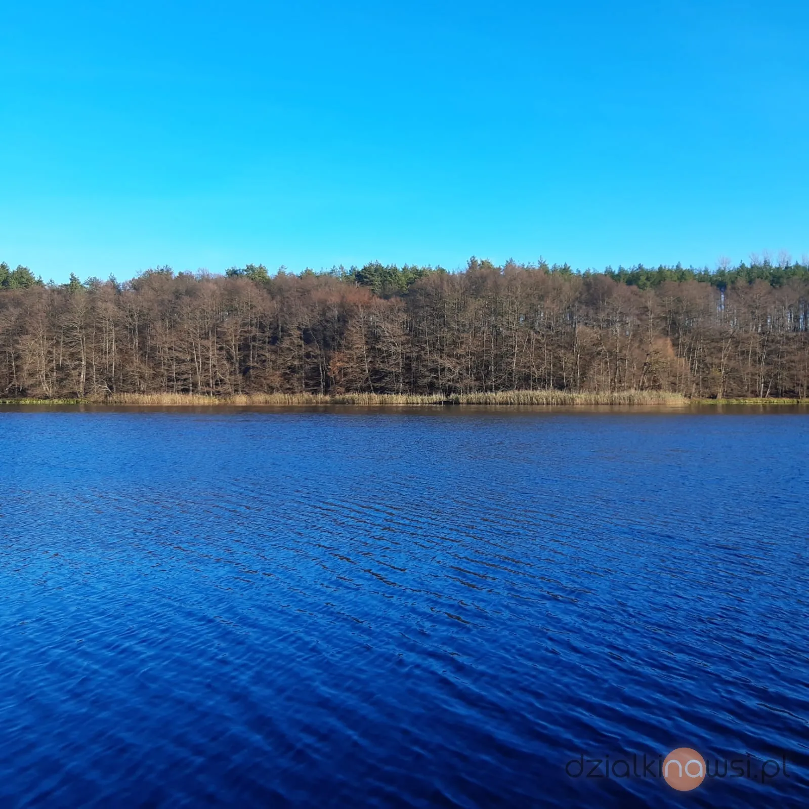 Działki o powierzchni 3000m2 z linią brzegową jeziora Nątlino w Czaplinku woj. Zachodniopomorskie.